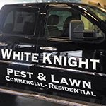 Vehicle Lettering