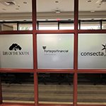 Window Film